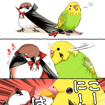 ふんでるのだ