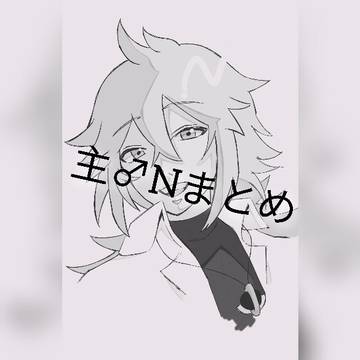 主♂Nまとめ