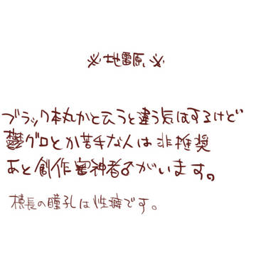鶴丸VS鶴丸