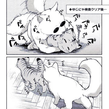 通販のお知らせ🐯