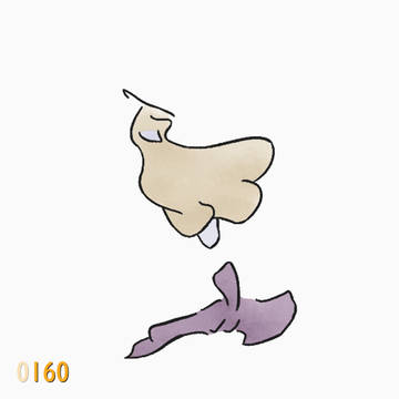 色塗り160 / Coloring 160