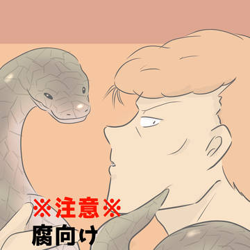 【腐向け】幽白３【桑受け】
