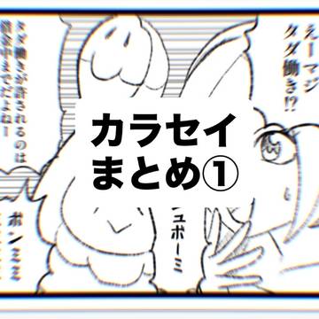 カラセイまとめ①
