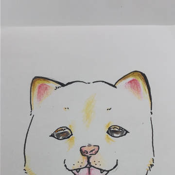白柴ワンコの落書き
