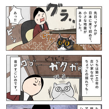 ひやっとしたマダム