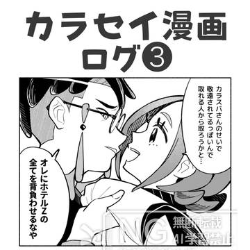 カラセイログ③