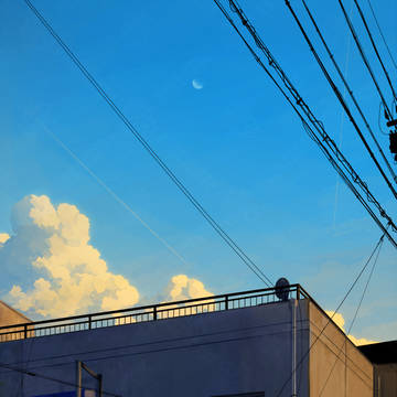 夕の月