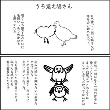 うろ覚え鳩さん