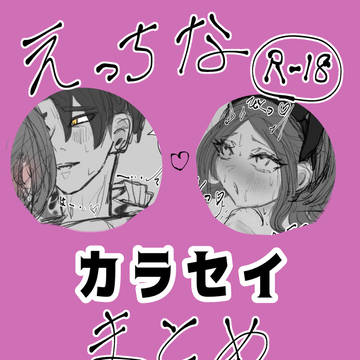 えっちなカラセイまとめ