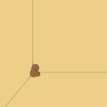何かあったキーウィ