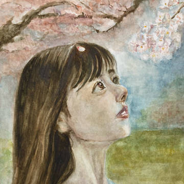 桜を見上げ