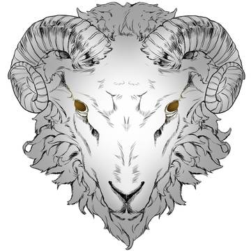 ˚✧₊⁎⁺˳✧༚ sheep˚✧₊⁎⁺˳✧༚