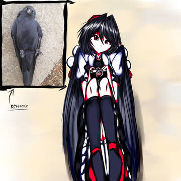 Nothing, just a pure crow brain