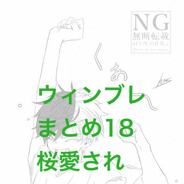 ウィンブレまとめ18