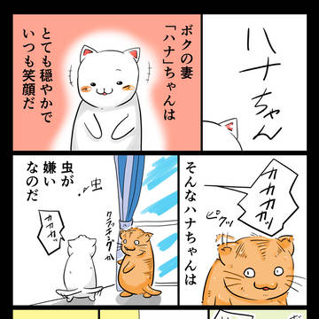「ハナちゃん」