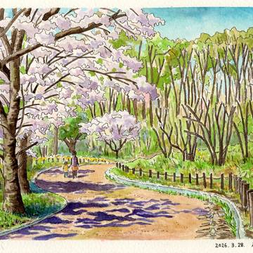 桜の下