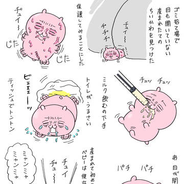 アホの子