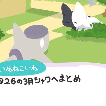 独暮らしと真新しいシャワーヘッド