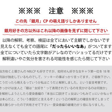 銀月の考察