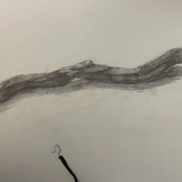 木の枝