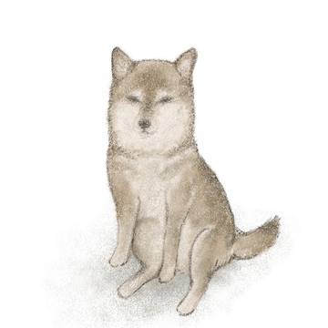柴犬イラスト