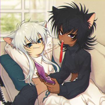 🤍白猫と黒猫🖤