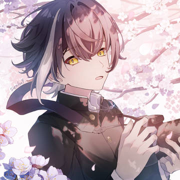 桜、散りゆく頃に