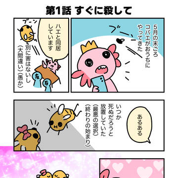 【新生活応援】コバエバトル