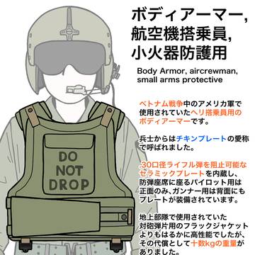 チキンプレート