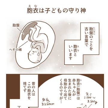 胞衣は子どもの守り神