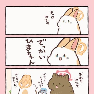 お知らせのお知らせ