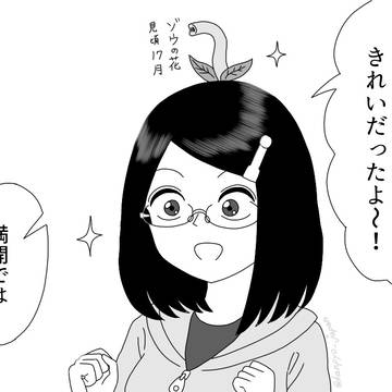 満開