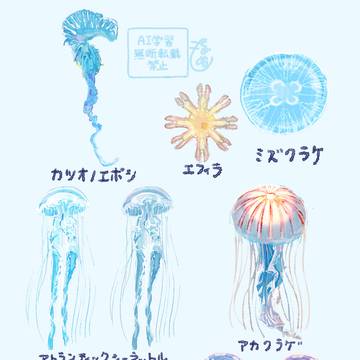 クラゲは好きですか？