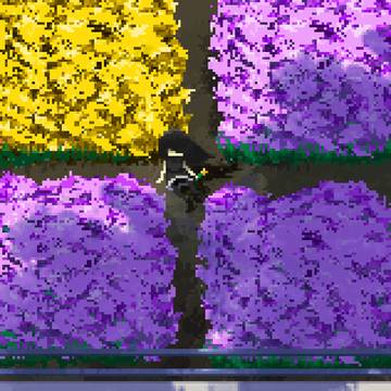 Taiji Flowers