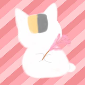 にゃんこ先生と桜