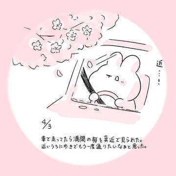 今日の日記