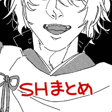 SHまとめ