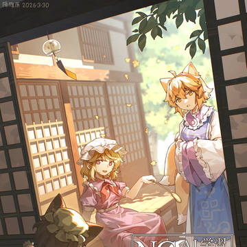 玩猫