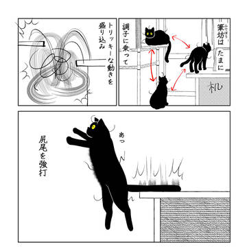 猫「こっち見んな」
