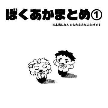 ぼくあかまとめ①