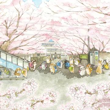 🏫🌸うさぎさんの桜小学校
