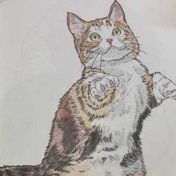ネコの塗り絵