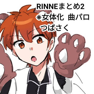 RINNEまとめ2