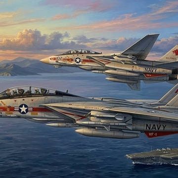 VF-1 Wolfpack :  F-14 トムキャット