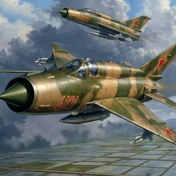 ソビエト空軍 第296戦闘航空連隊 : MIG-21