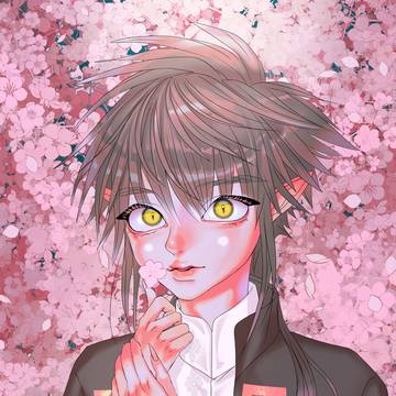 SAKURA drop