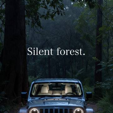 Silent forest.