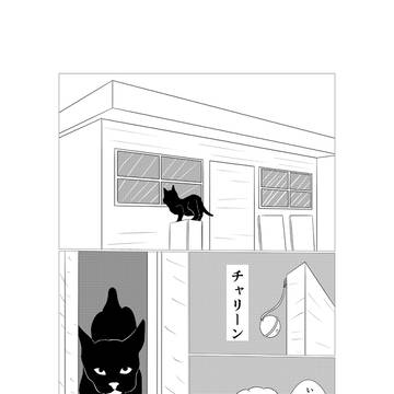 ネコのお客さん