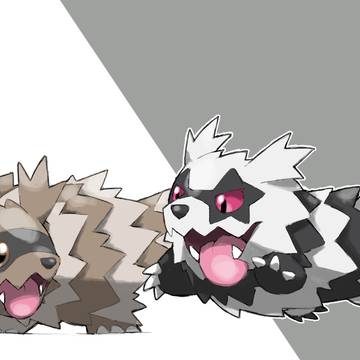 Zigzagoons