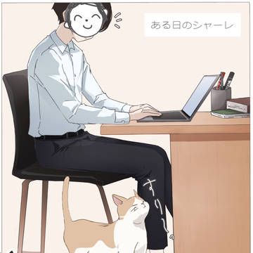 ある日のシャーレ🐈‍⬛